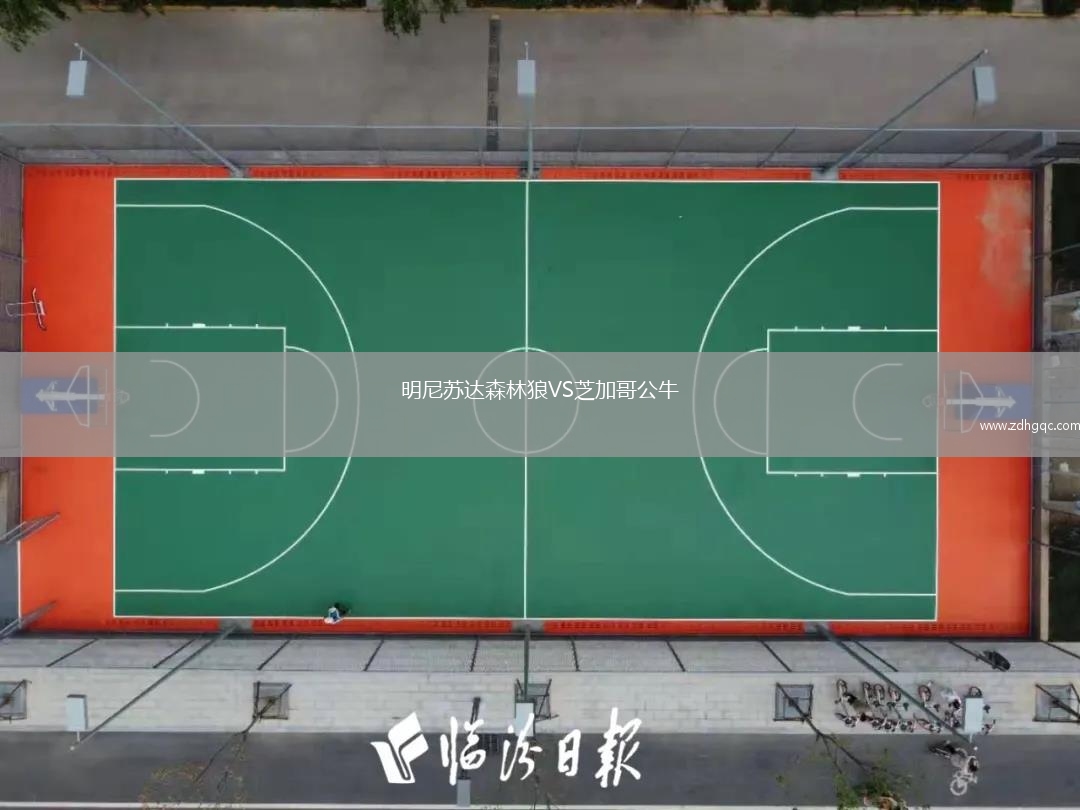 明尼苏达森林狼VS芝加哥公牛
