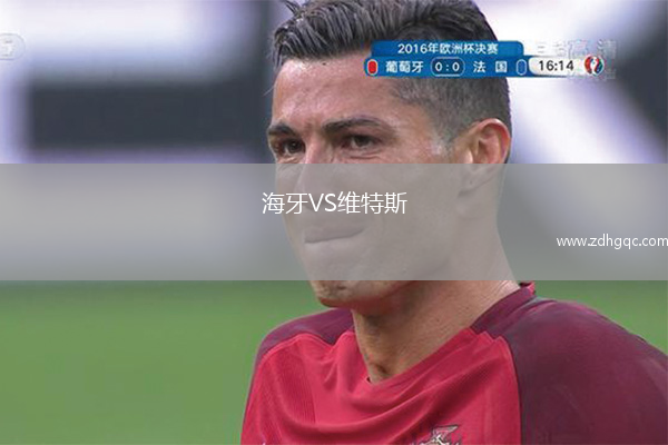 海牙VS维特斯