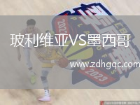 玻利维亚VS墨西哥