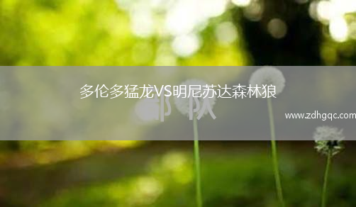 多伦多猛龙VS明尼苏达森林狼