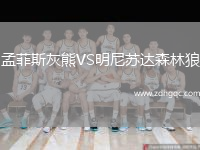 孟菲斯灰熊VS明尼苏达森林狼