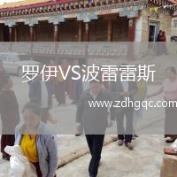 罗伊VS波雷雷斯