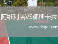 阿维利诺VS佩斯卡拉