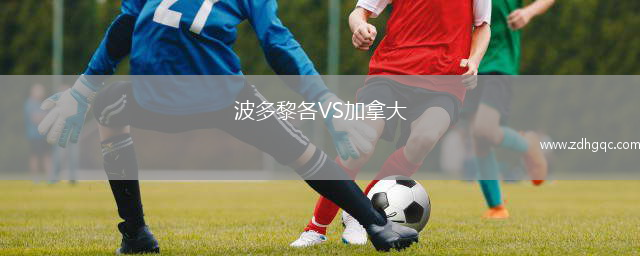 波多黎各VS加拿大