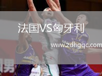 法国VS匈牙利