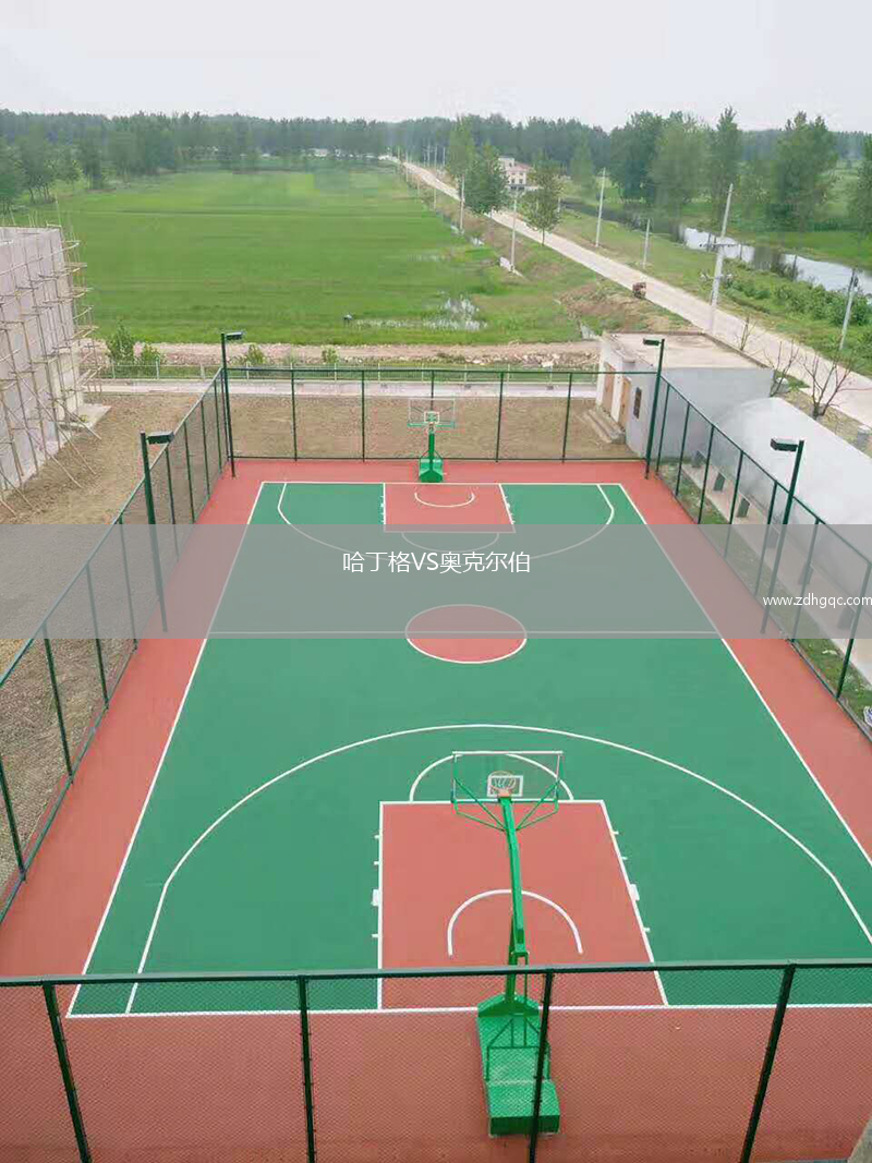 哈丁格VS奥克尔伯