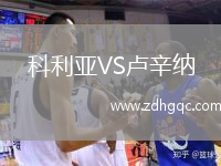 科利亚VS卢辛纳