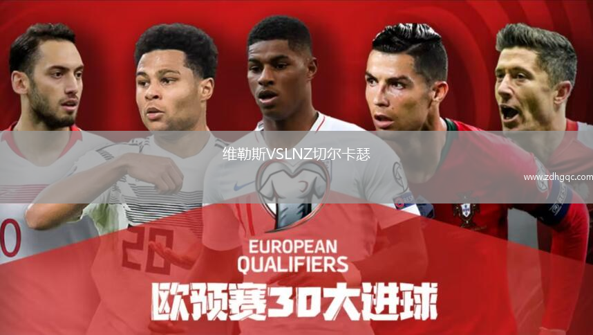 维勒斯VSLNZ切尔卡瑟