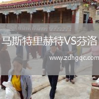 马斯特里赫特VS芬洛