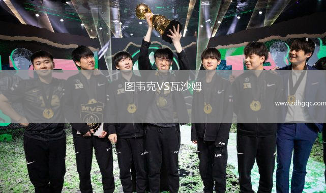 图韦克VS瓦沙姆