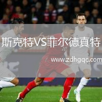 斯克特VS菲尔德真特