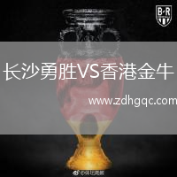 长沙勇胜VS香港金牛