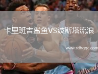 卡里班吉鲨鱼VS波斯塔流浪