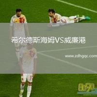 希尔德斯海姆VS威廉港