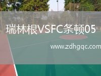 瑞林根VSFC条顿05